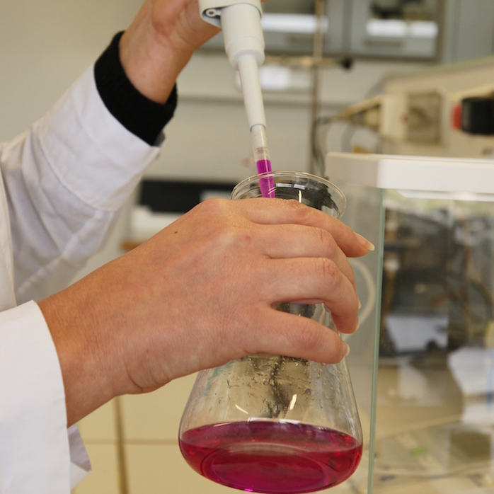 DSC02767 cropped 698x698