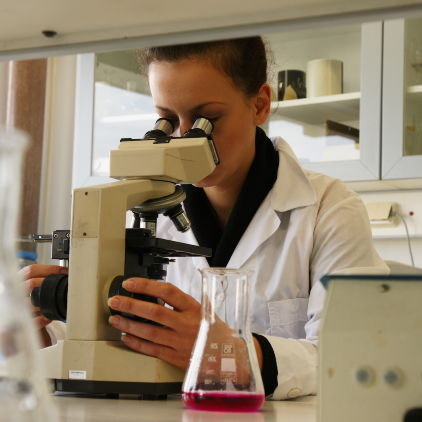 DSC02771 cropped 1067x1067