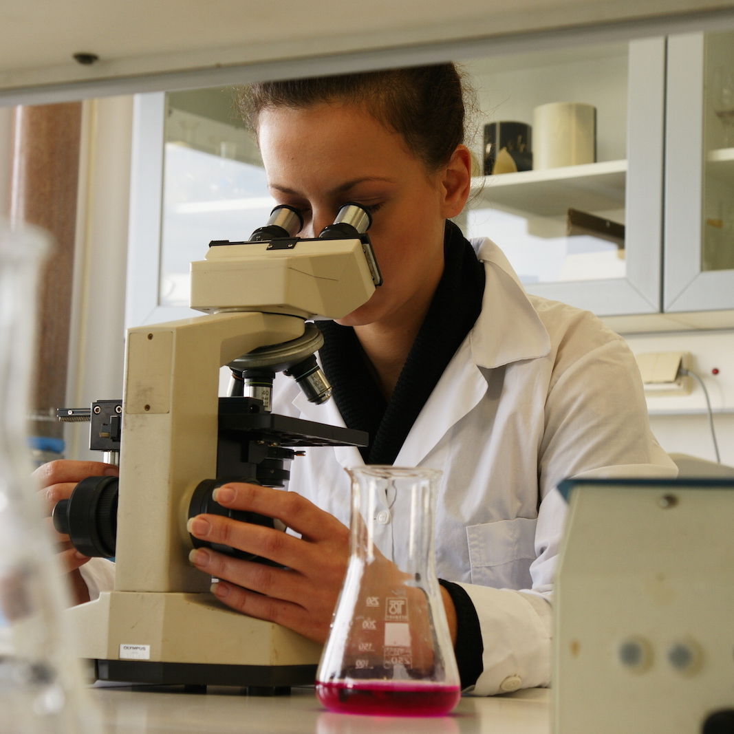 DSC02771 cropped 1067x1067